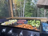 Lovely lakefront home with dock. Summertime stunner. Winter wonderland nearby.