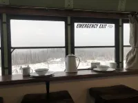 The Park Bus BnB Hotel a Two Rivers