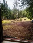 Historic Family Cabin Just 0.4 Miles from Mt. Rainier Entrance