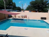 The Blue Palm, with Pool Access!