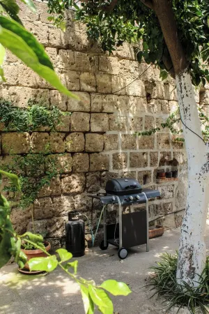 The citrus fruits of Nonna Peppina - Apartment Oranges