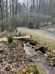Tami's Hideaway - Nature and Comfort at this Private Asheville Getaway