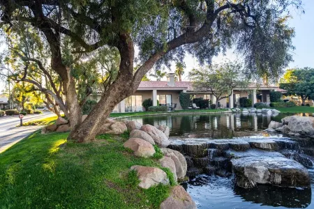 The Peaceful Plumosa in Palm Valley Country Club | Palm Desert