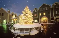 Ski-In/Ski-Out at Jiminy Peak  in the Country Inn