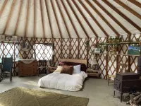 Cozy mountain yurt on an organic farm Hotels in 