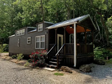 Tiny home only 1 mile from Vogel State Park! The Gray Loft Reece Farm Village Отели в г. Юнион