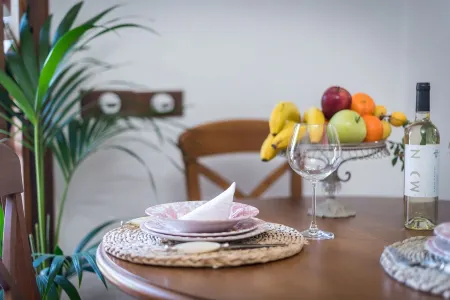 House in farm, with pool, barbecue, wifi and Netflix