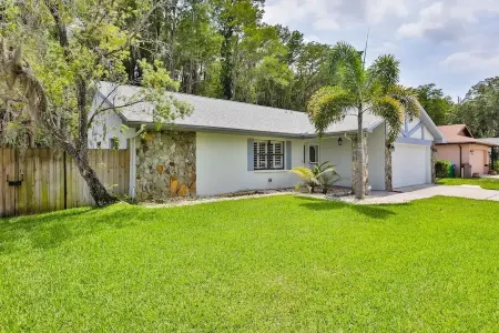 Paradise in Palm Harbor l Pool l Newly Renovated l Family Friendly
