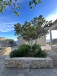 Perfect Apartment in Nature Park
