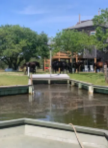 4X4 only! Canal front. Ocean AND sound views! Decks and porches on all levels.