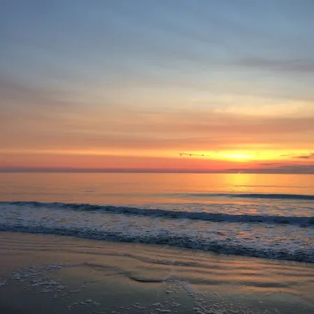 200 Steps Bed to Beach Oceanfront Luxury 6 Guests. Premier Property and Host