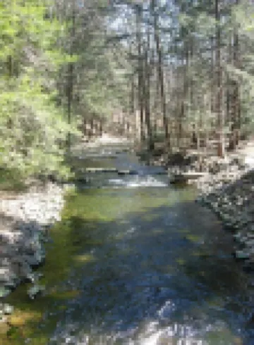 Get Cozy at Big Al's Poconos Creek House - Wireless Dsl, Trout and Skiing!!