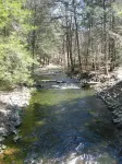 Get cozy at Big Al's Poconos Creek House - Wireless DSL & Trout!!