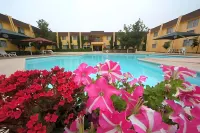 Hotel Sicomoro Hotels in Chihuahua