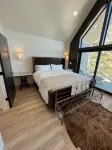 Modern Scandinavian cabin steps away from slopes.  Ski-in-Ski-out with Jacuzzi!