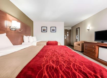 Comfort Inn & Suites