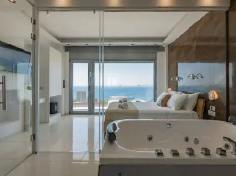 로즈 스카이라인 스위츠