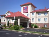 Comfort Suites Hotels near Sassafras Tree