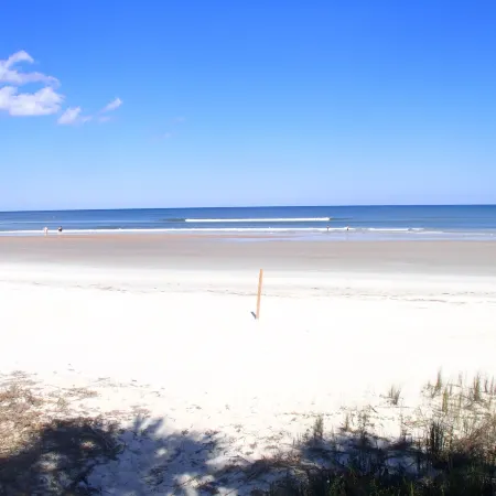 Flamingo Inn Beachfront - Daytona Beach Отели рядом с достопримечательностью «Торговый центр Destination Daytona»