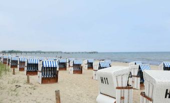 Cozy Apartment in Boltenhagen Germany Near Beach