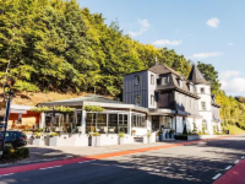 Schlosshotel Brilon-Wald - Hostel Hotels in Brilon