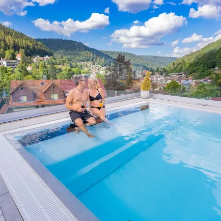 Wellnesshotel Rothfuß Mit Spa Und 2 Schwimmbädern