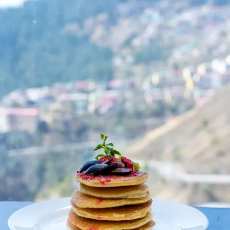 The Orchid Hotel Shimla