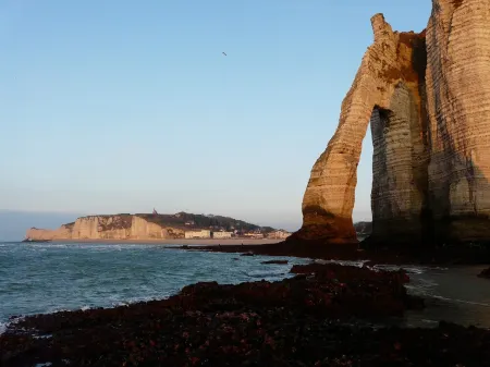 Residential flat in a former Etretat villa, in a big garden with free parking. Отели рядом с достопримечательностью «Этрета»