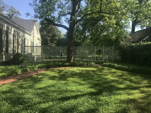 The Magnolias - A Beautiful Charming Historical Home to relax & make memories!