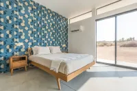 Desert Diamond By Homestead Modern