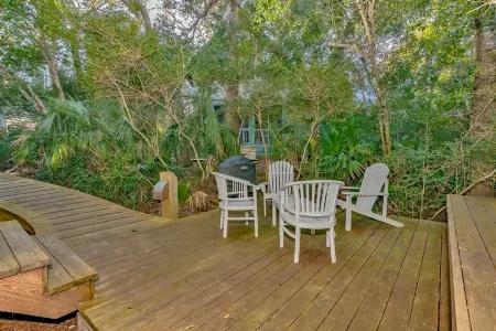 Oasis in cape fear station forest with wildlife views