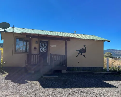 The Ostrich House! Cozy, comfortable and private. Hotels in Eagar