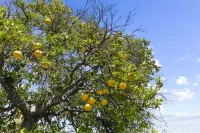 Contemporary Condo in Central Biltmore