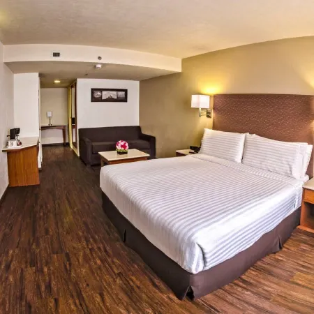 Holiday Inn ORIZABA by IHG
