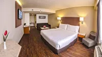 Holiday Inn ORIZABA by IHG - 3 étoiles