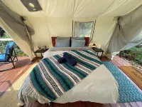 Alpenglow Luxury Camping Hôtels à : Glacier View
