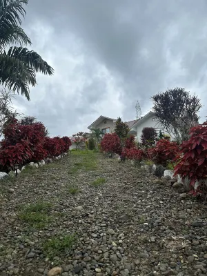 Hosteria Mana Hotels in 