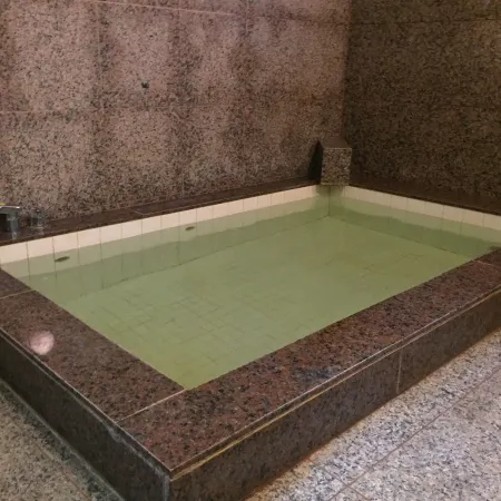 Tokiwa Ryokan