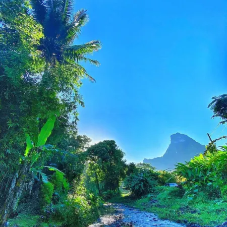 Heimanarii Walker Paoa