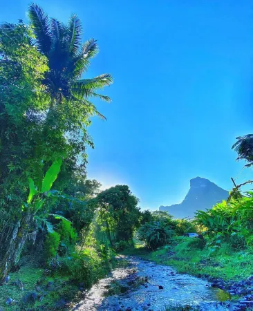 Heimanarii Walker Paoa