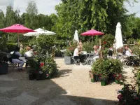 Le César Hôtel Hotels near Les Enfants du Dome