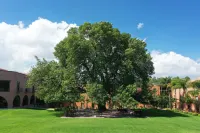 El Diezmo Hotel Hotels in San Jose Iturbide
