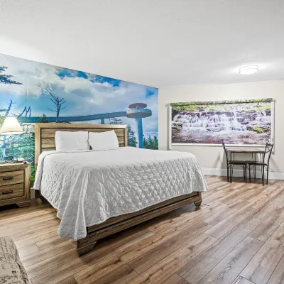 Country Town N' Suites Hotels near Wild Bear Falls Water Park