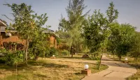 Airport Planet Lodge
