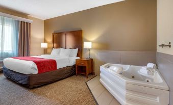 Comfort Inn la Porte