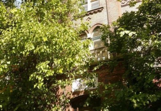 도미니크 판지오