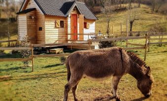 Cab'ânes du Pibeste