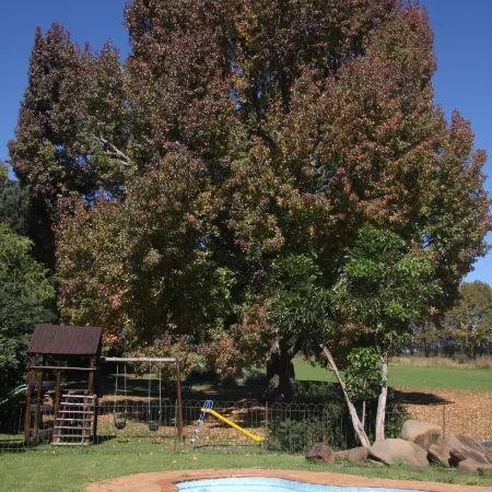 Ardmore Guest Farm