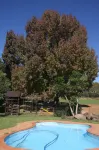 Ardmore Guest Farm - Pools