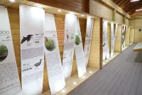 Clove Beach Hotels in Meedhoo